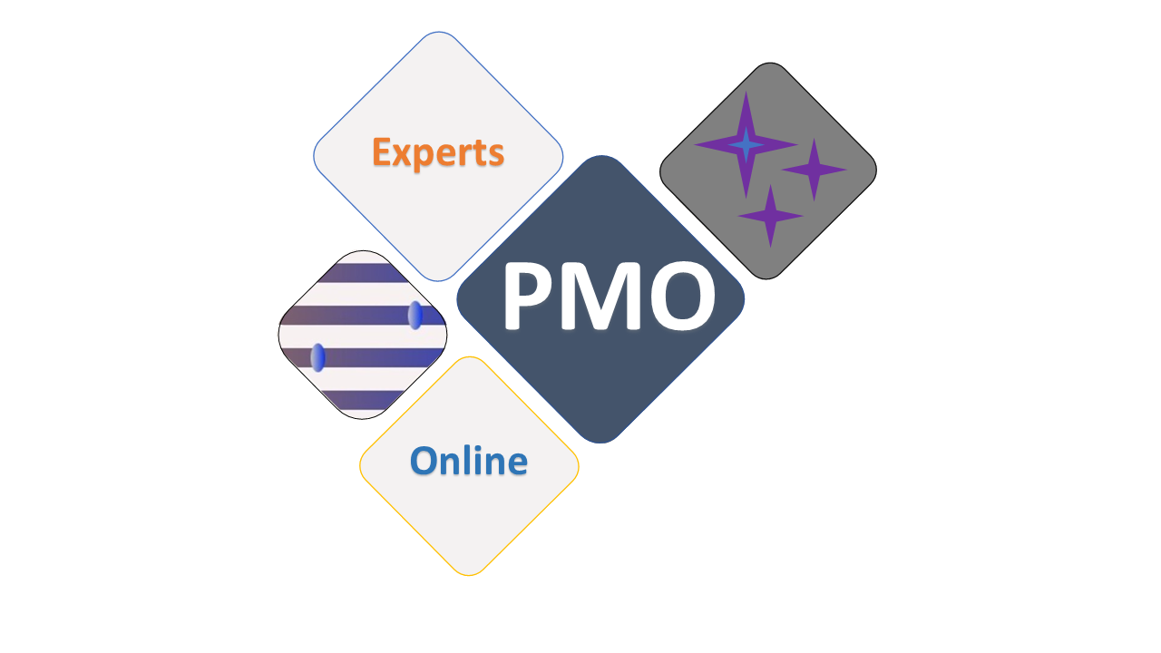 PMO experts online - Project managers professionals collaborating